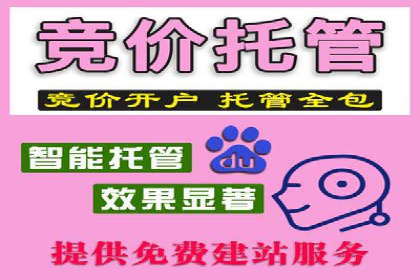 SEO关键词优化：某品牌逆袭的案例解析